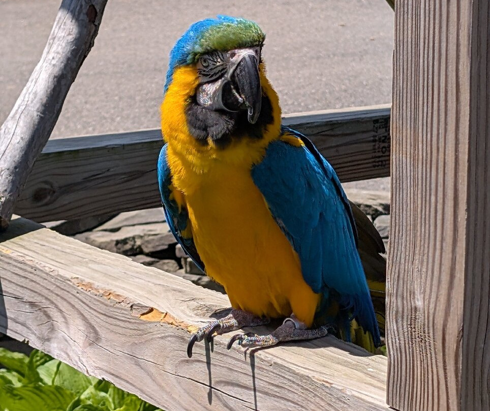 Animal Adventure Park-Harpursville必去景点