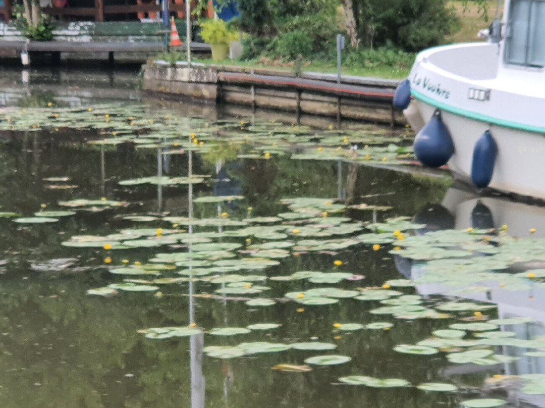 La Compagnie des Bateaux de Metz-梅斯必去景点
