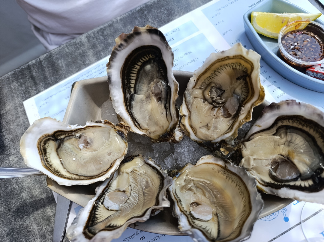 L'huître En Folie