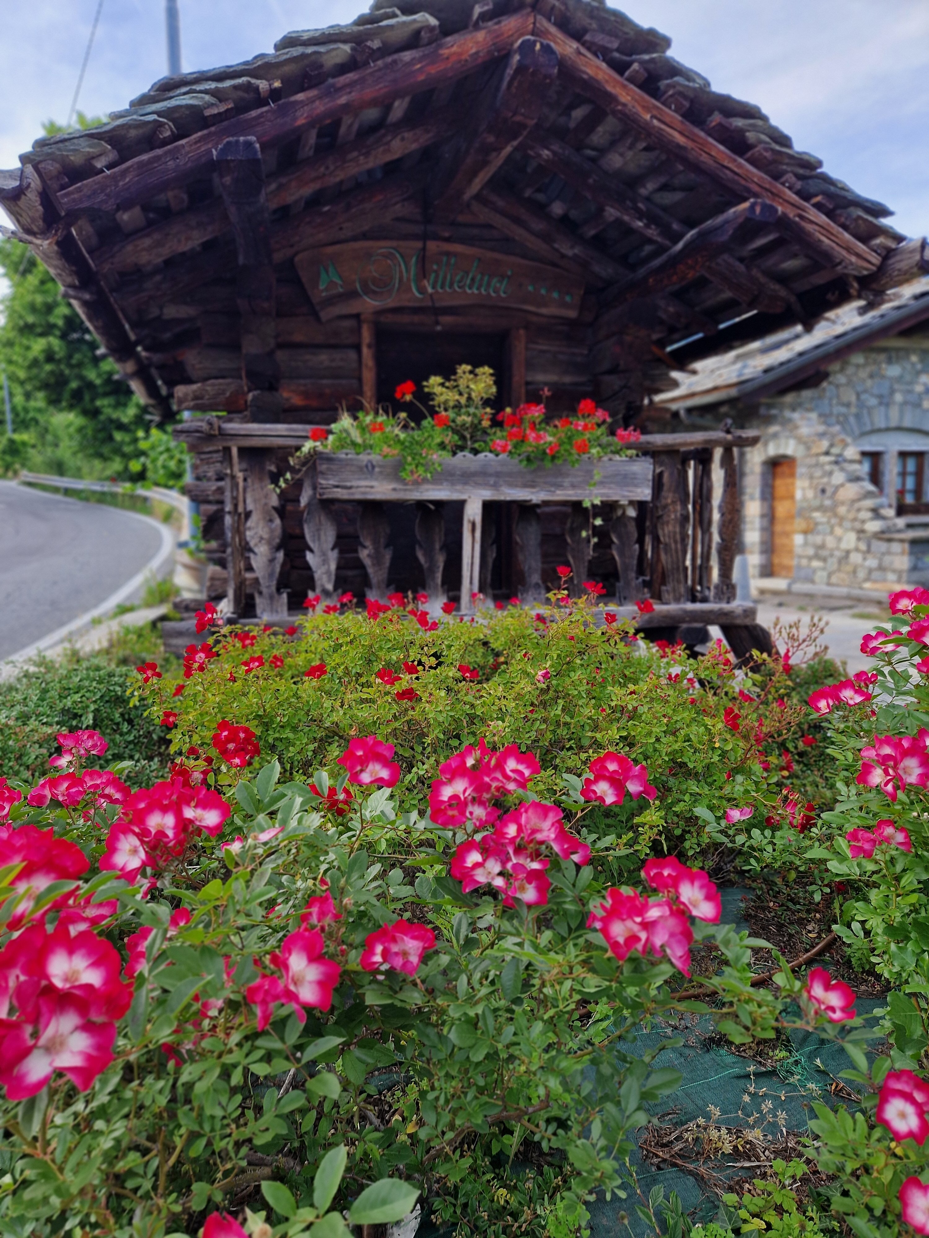 Hotel Milleluci-官方