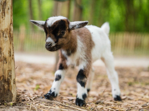Malowe Nature-Rosay必去景点