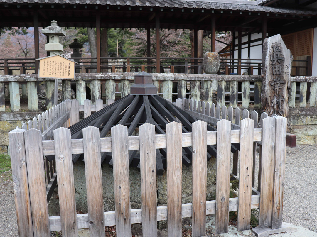 Ueda Joseki Park-上田市必去景点