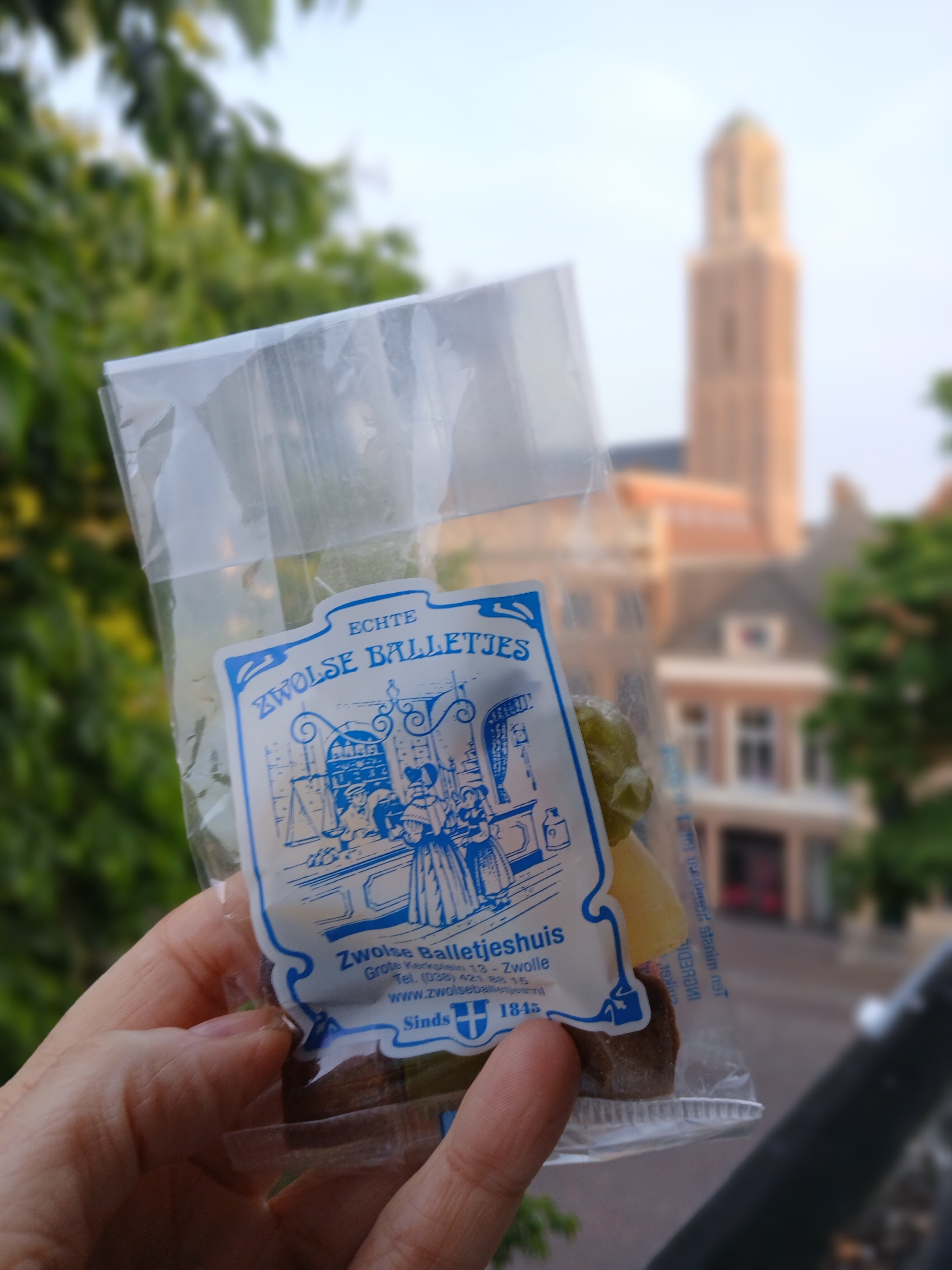 Hanze Hotel Zwolle-酒店景观