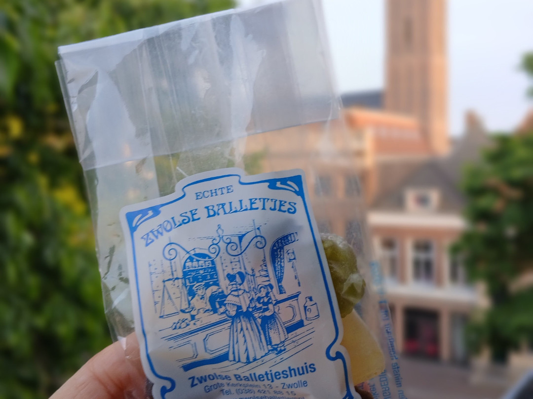 Hanze Hotel Zwolle主图