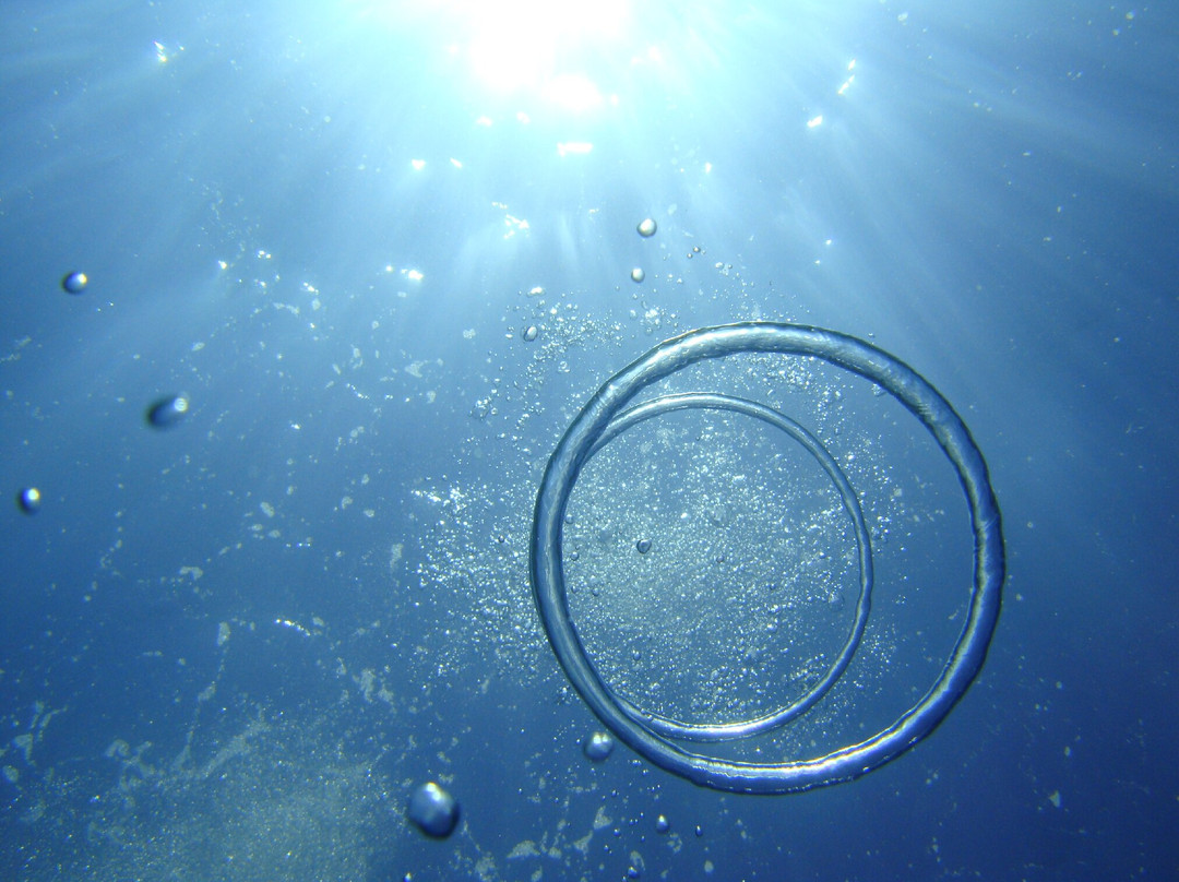 Vasiliadis Diving Club-Potos必去景点