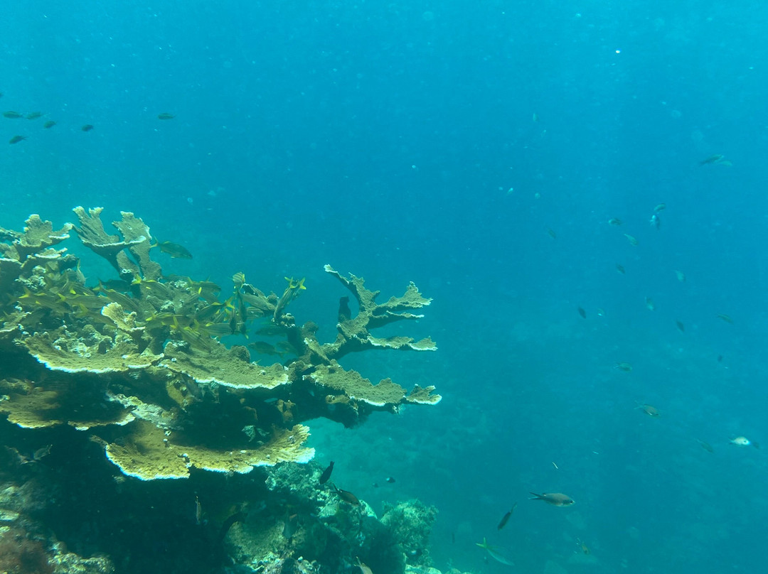 Kalinago-Sainte-Anne必去景点