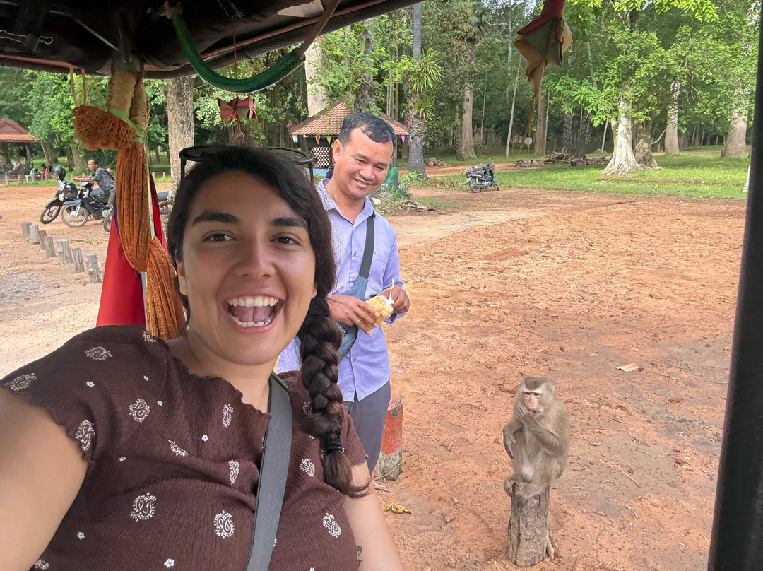 Mr. Kim's Angkor Wat Tours