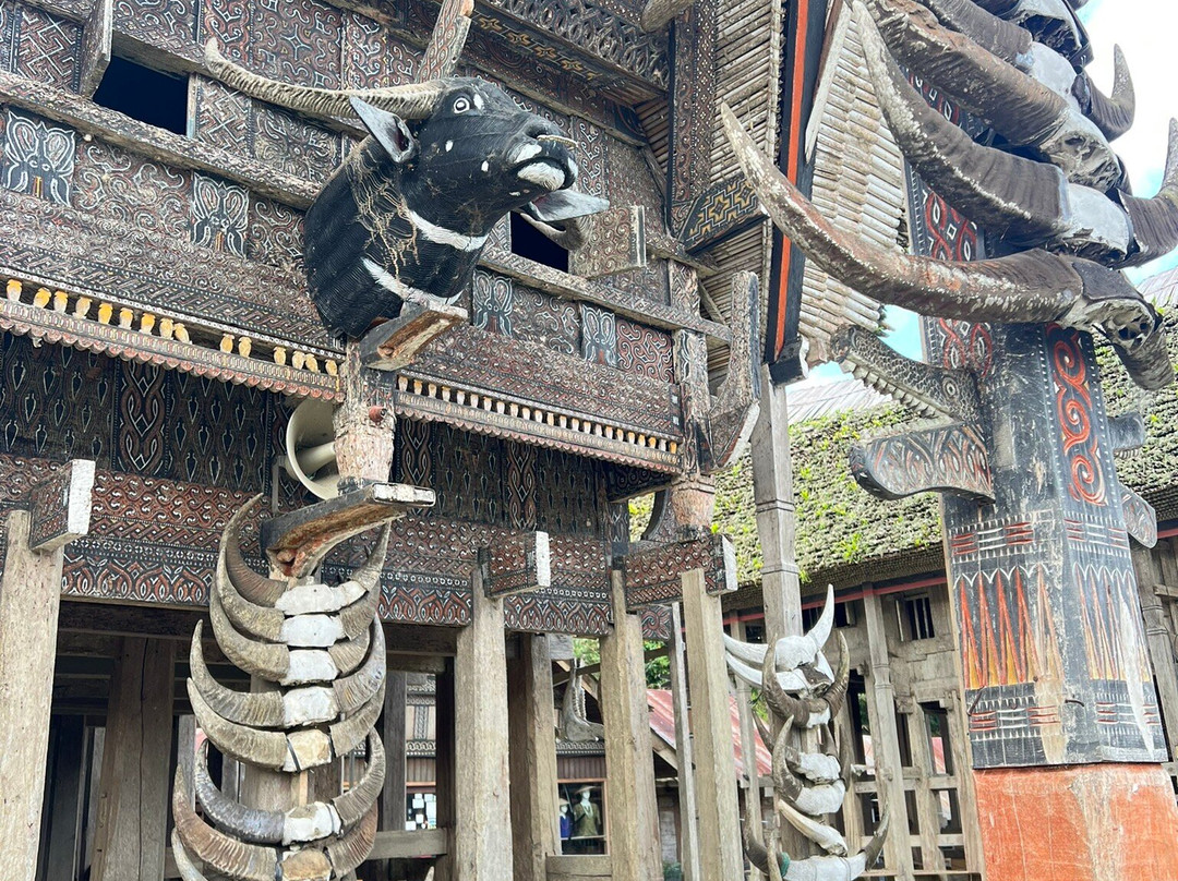 TORAJA TOUR WITH GUIDE SERVICE.景点图片