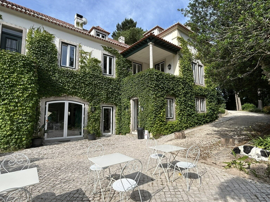 Quinta Velha - Eighteen21 Houses主图