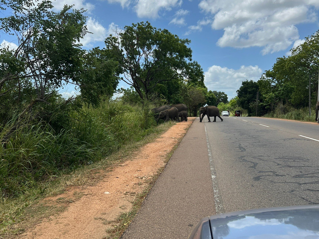 Sayura Travels Sri Lanka-Kinniya必去景点