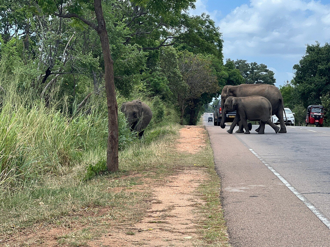 Sayura Travels Sri Lanka-Kinniya必去景点