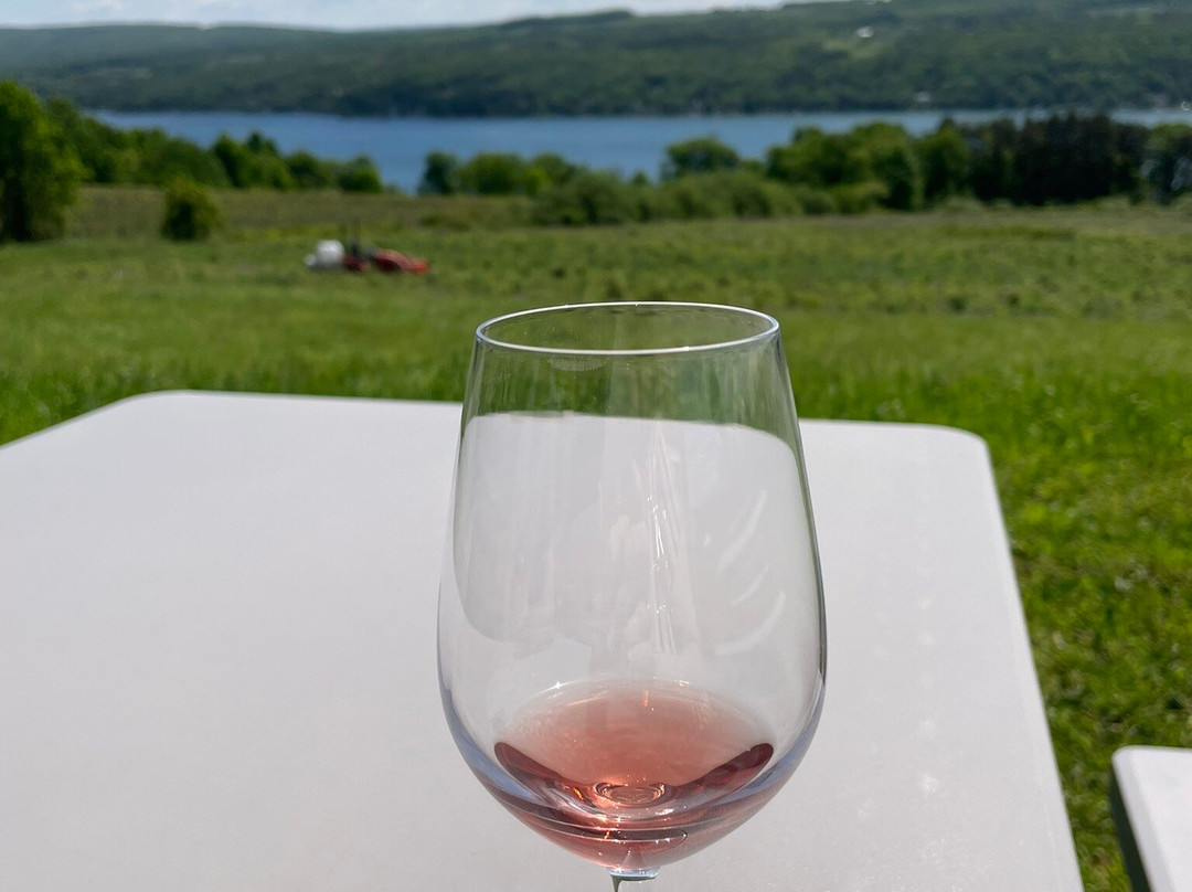 Divided Sky Vineyard-Hammondsport必去景点