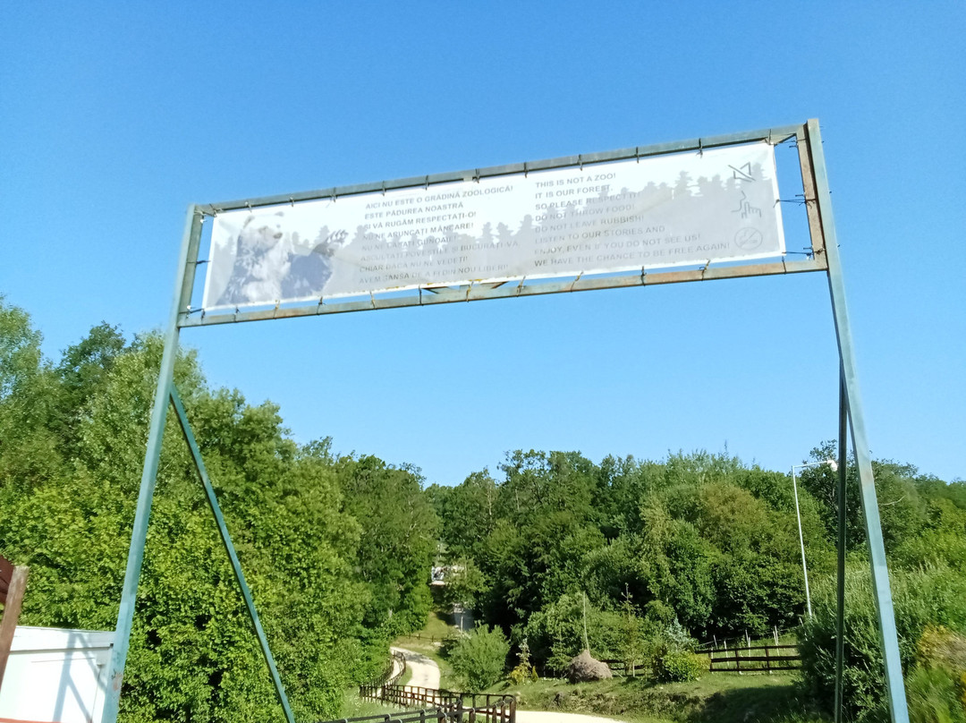 Libearty Bear Sanctuary Zarnesti-Zarnesti必去景点
