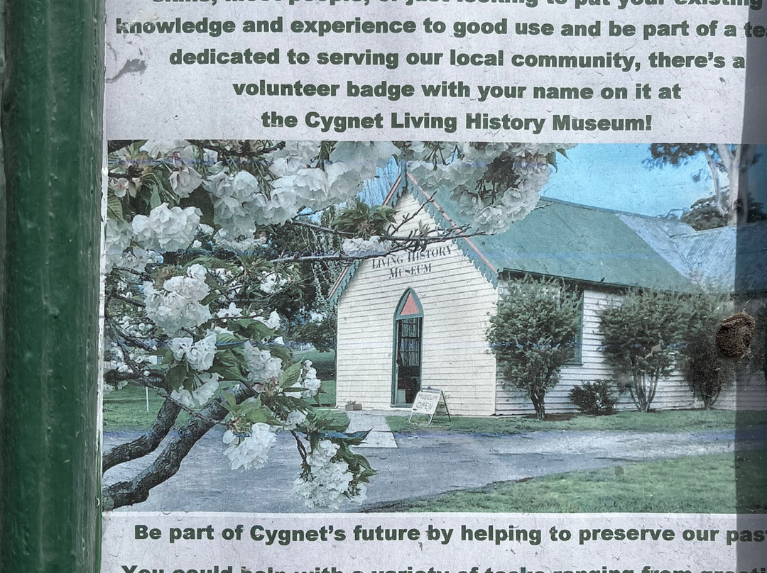 Cygnet Living History Museum-Cygnet必去景点