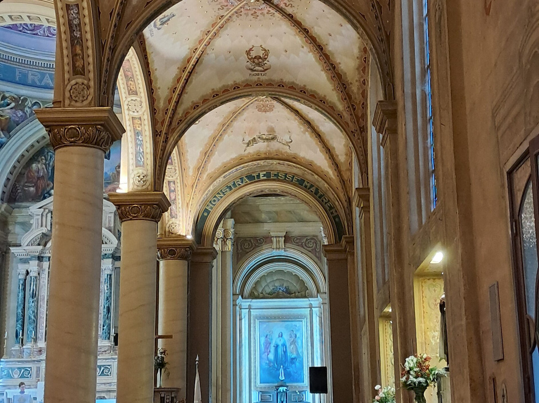 Catedral Metropolitana de Sao Francisco de Paula-Pelotas必去景点