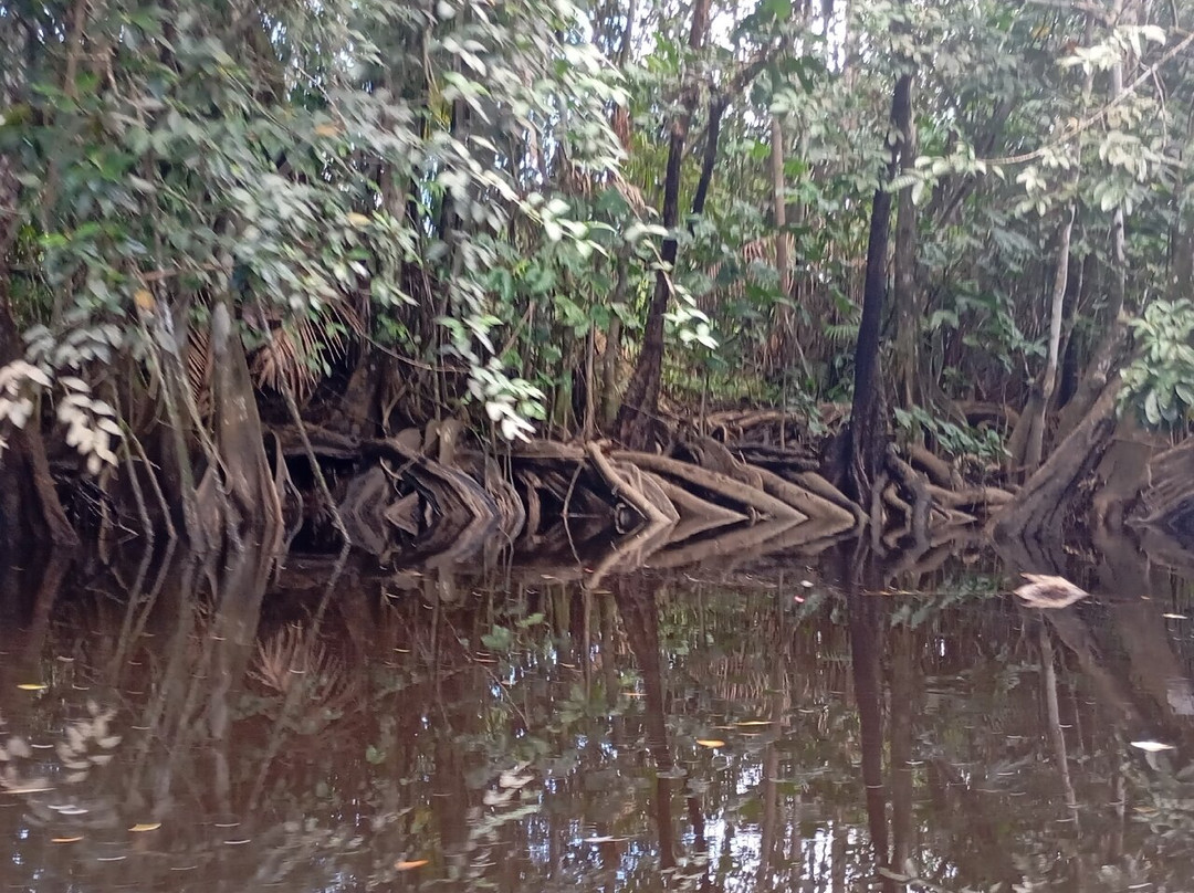 Crique Gabriel-卡宴必去景点