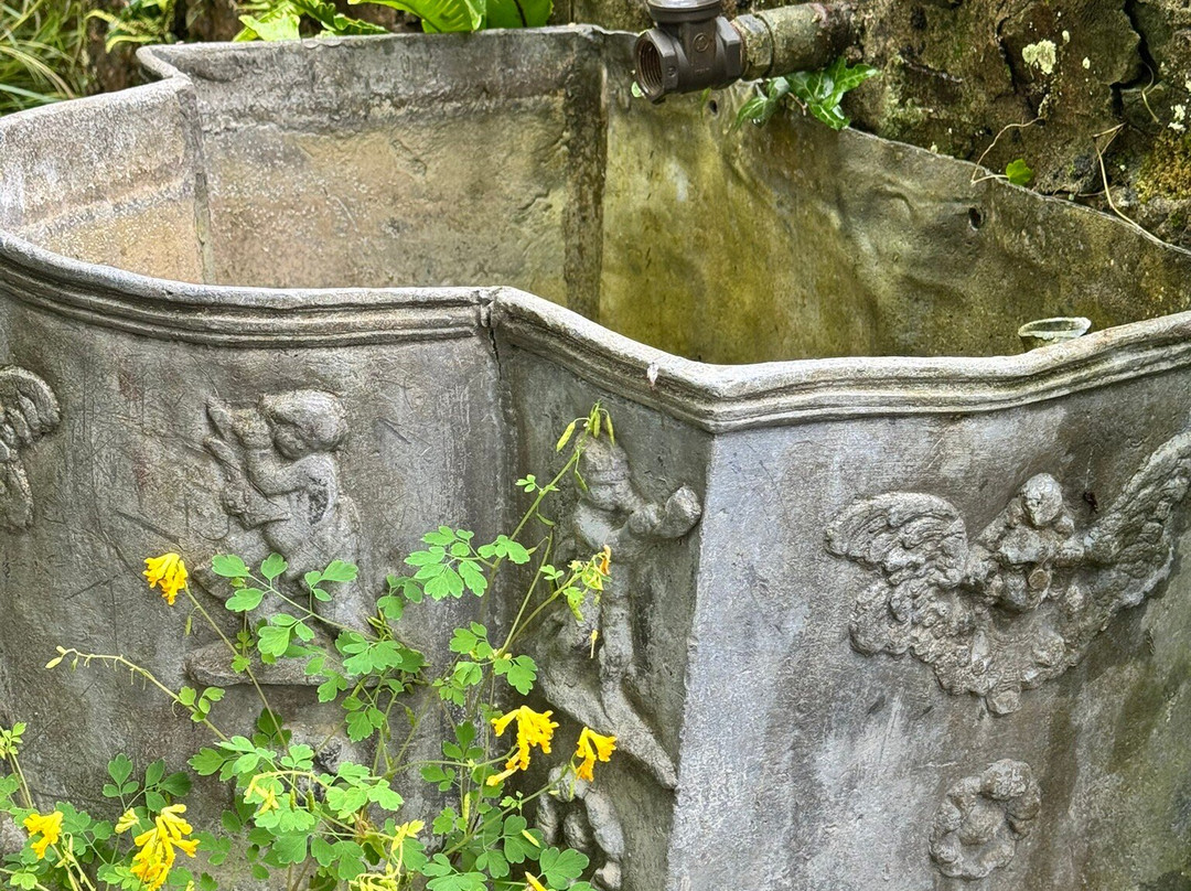 Colby Woodland Garden (National Trust)-Amroth必去景点