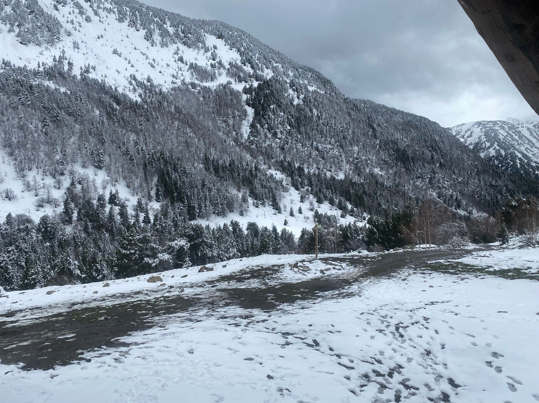 Sorteny Nature Reserve-Ordino必去景点