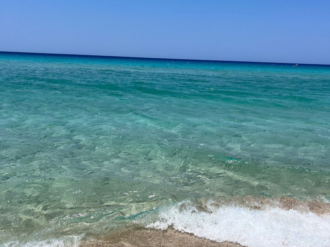 Delfina Boutique Hotel主图