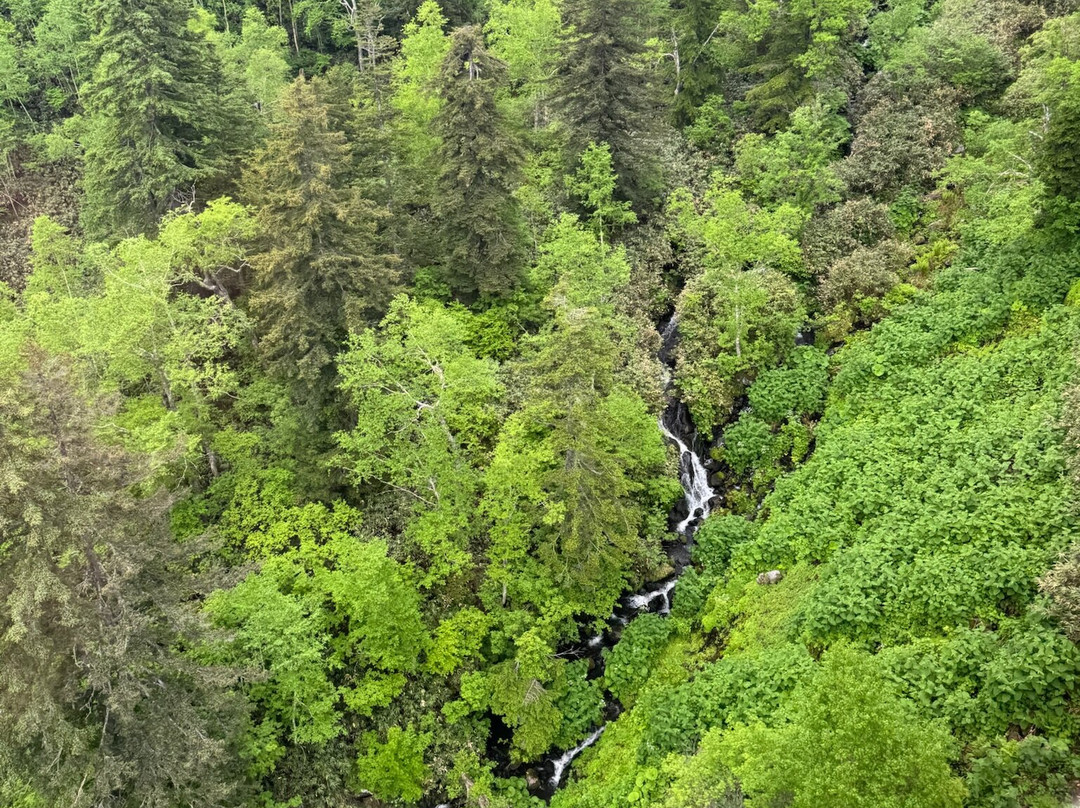 Asahidake Ropeway-东川町必去景点