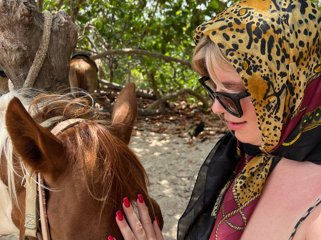 Spirit of the West-西湾必去景点