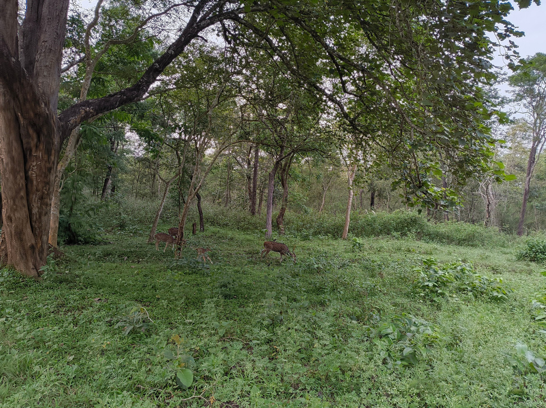 Nagarhole National Park-Hunsur必去景点