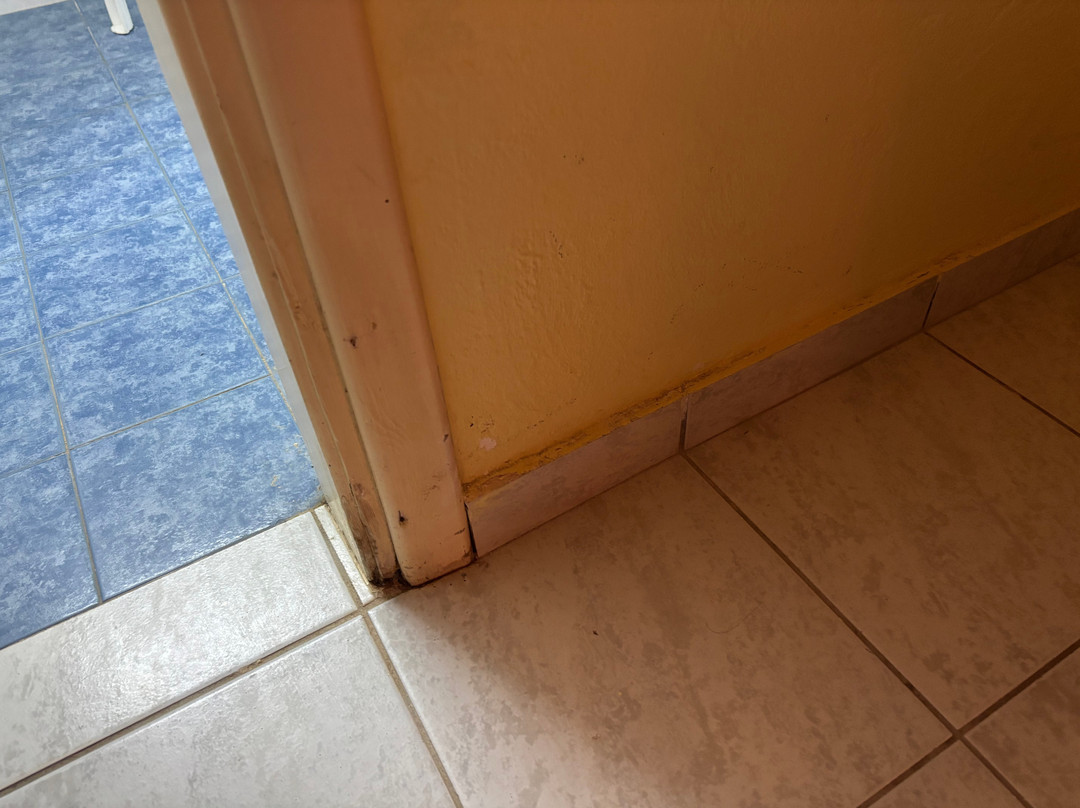 Dedalos Beach Hotel主图