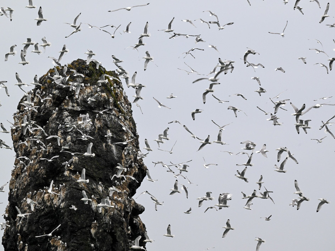 Tutka Tours-荷马必去景点