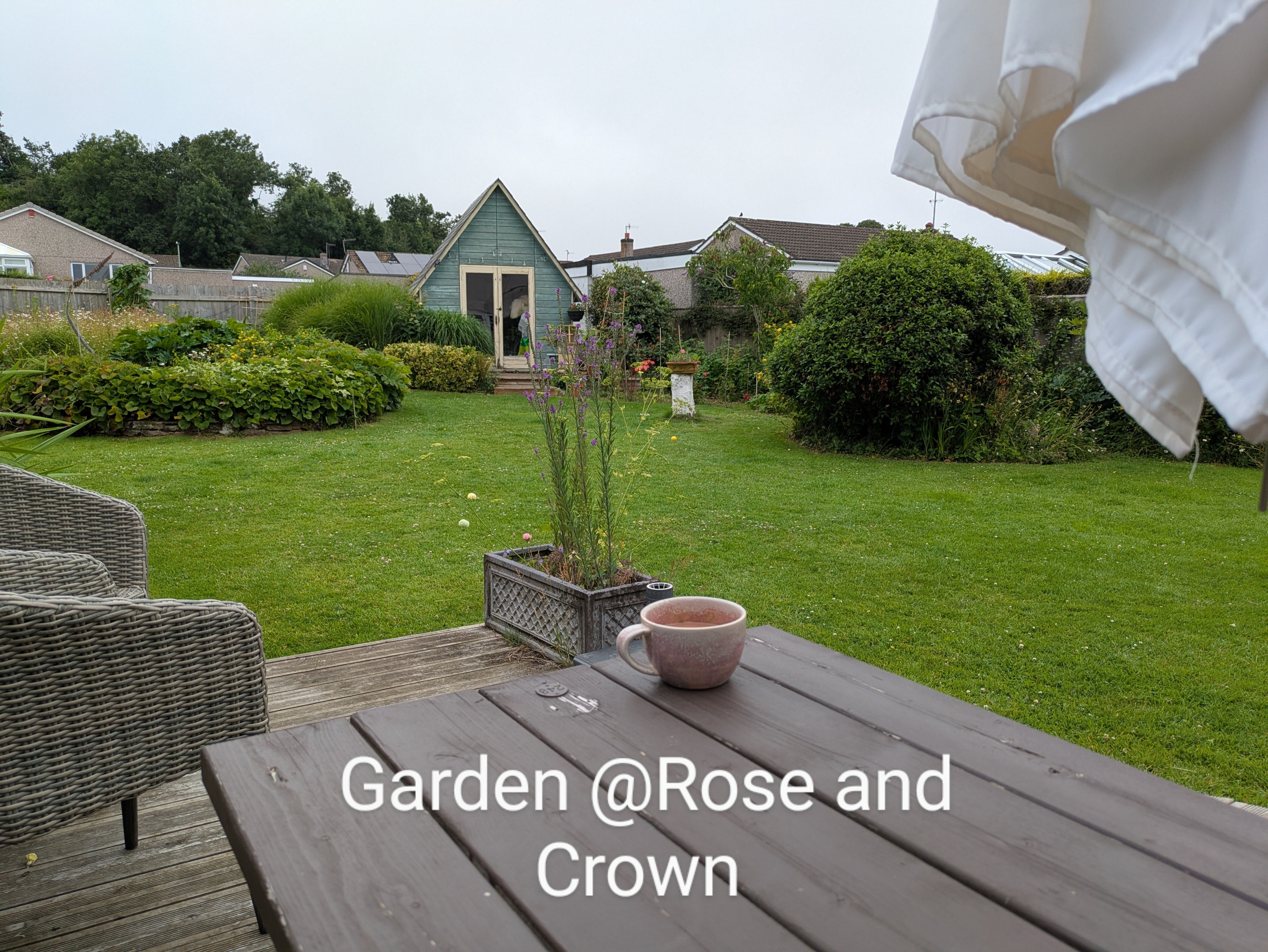 Rose & Crown-官方