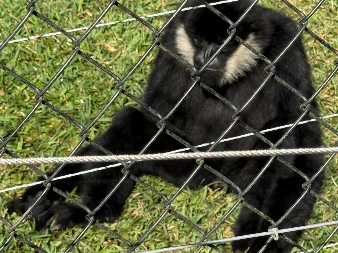 Wildlife HQ Zoo-Woombye必去景点