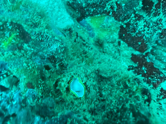 Ananda. Dive N' Flow-圣特雷莎必去景点