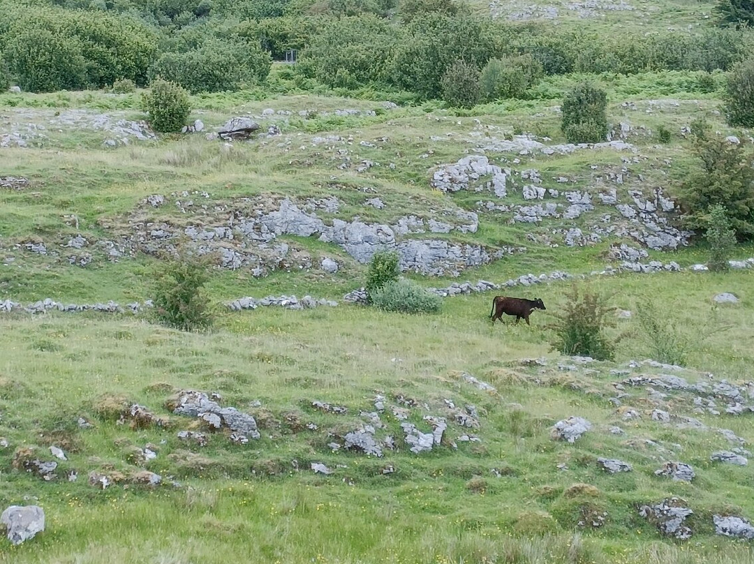 Killykeeghan Nature Reserve-Florencecourt必去景点