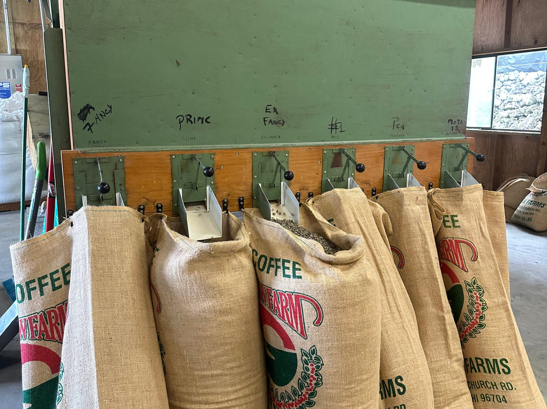 大视野农场-霍那吾那吾必去景点