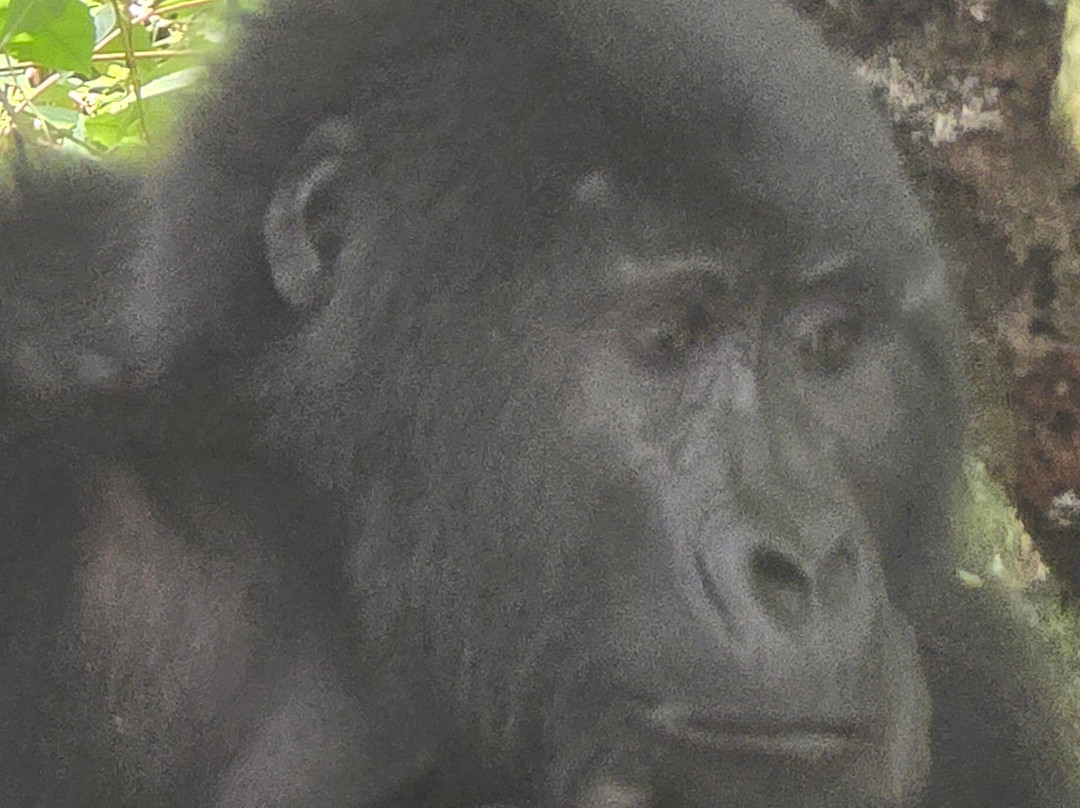 Activentures Africa Safaris-坎帕拉必去景点