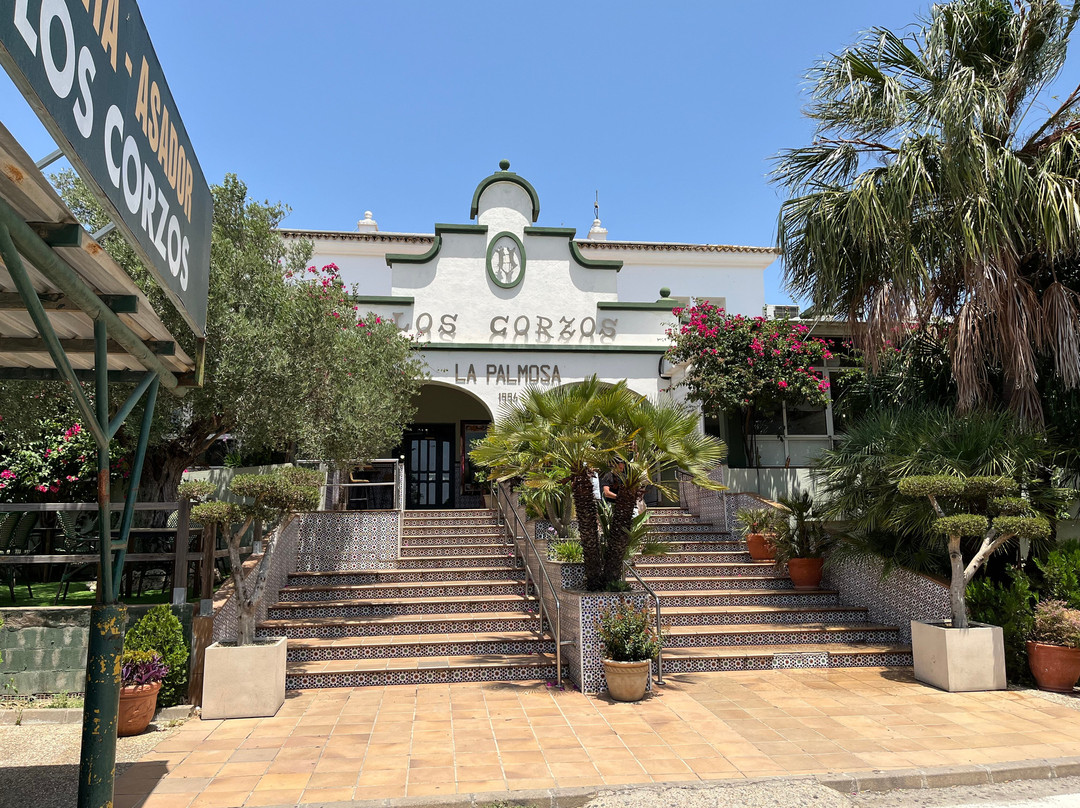 Alcalá De Los Gazules.-Alcala de los Gazules必去景点