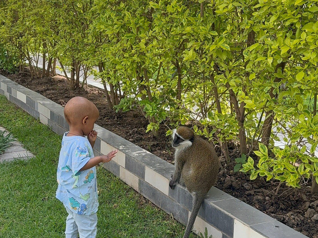 Villa Alpha International Hotel