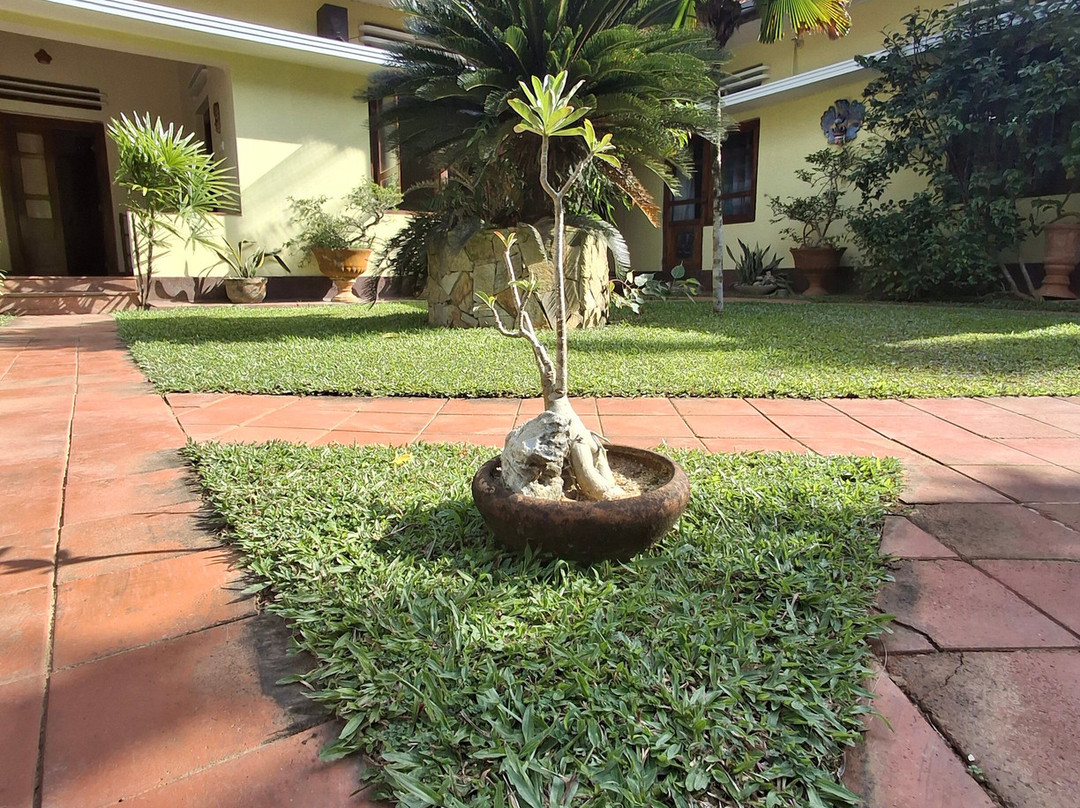 Peacock Ayurveda Garden主图