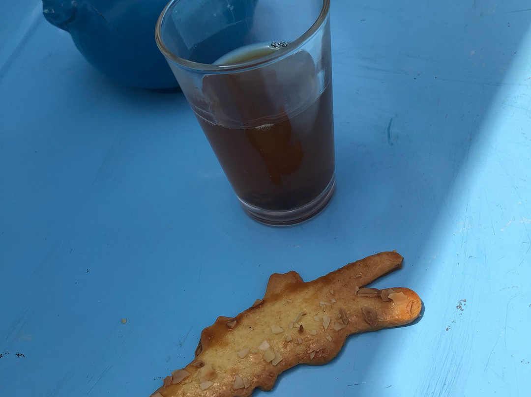 Crocoparc-阿加迪尔必去景点