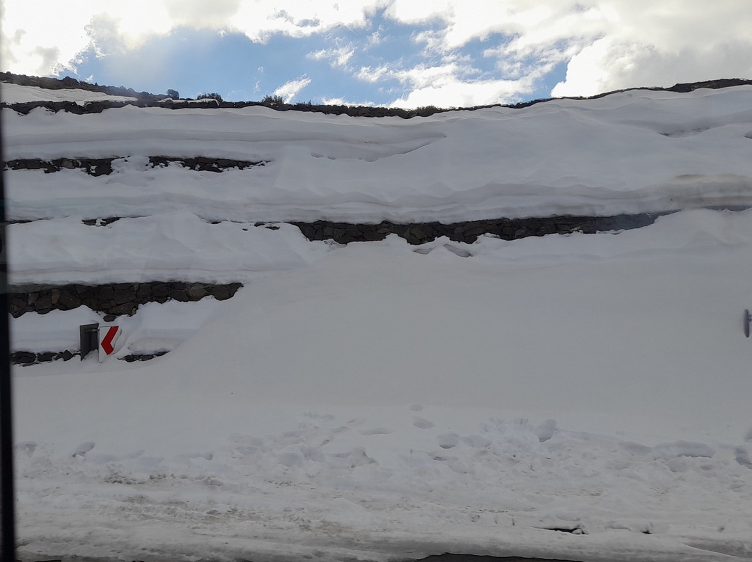 KarMichael Farm Guesthouse主图