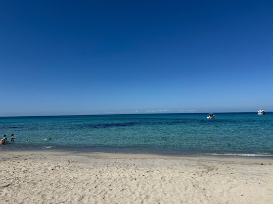 Plage de Capo di Feno-阿雅克肖必去景点