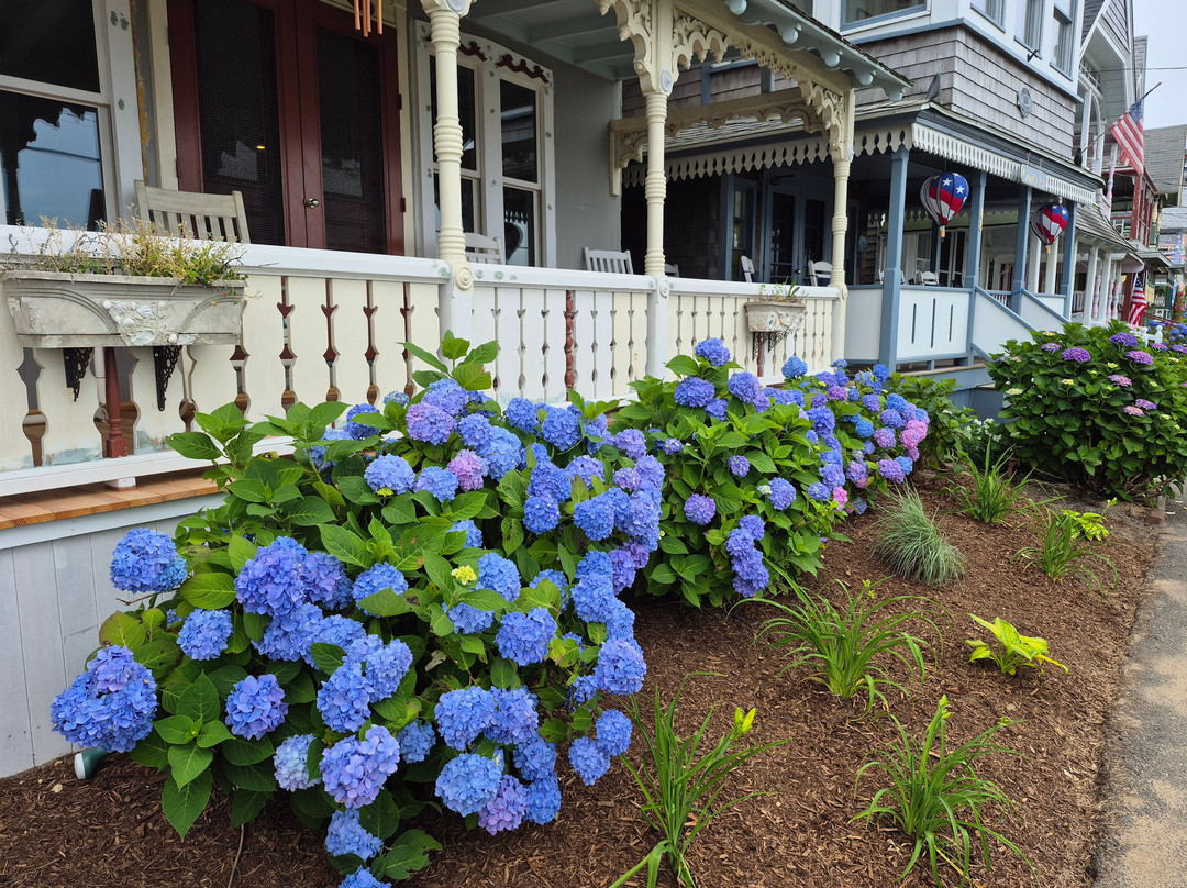 Sconset Bluff Walk-楠塔基特必去景点