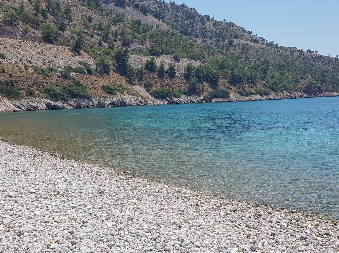 Elida Beach-Anavatos必去景点