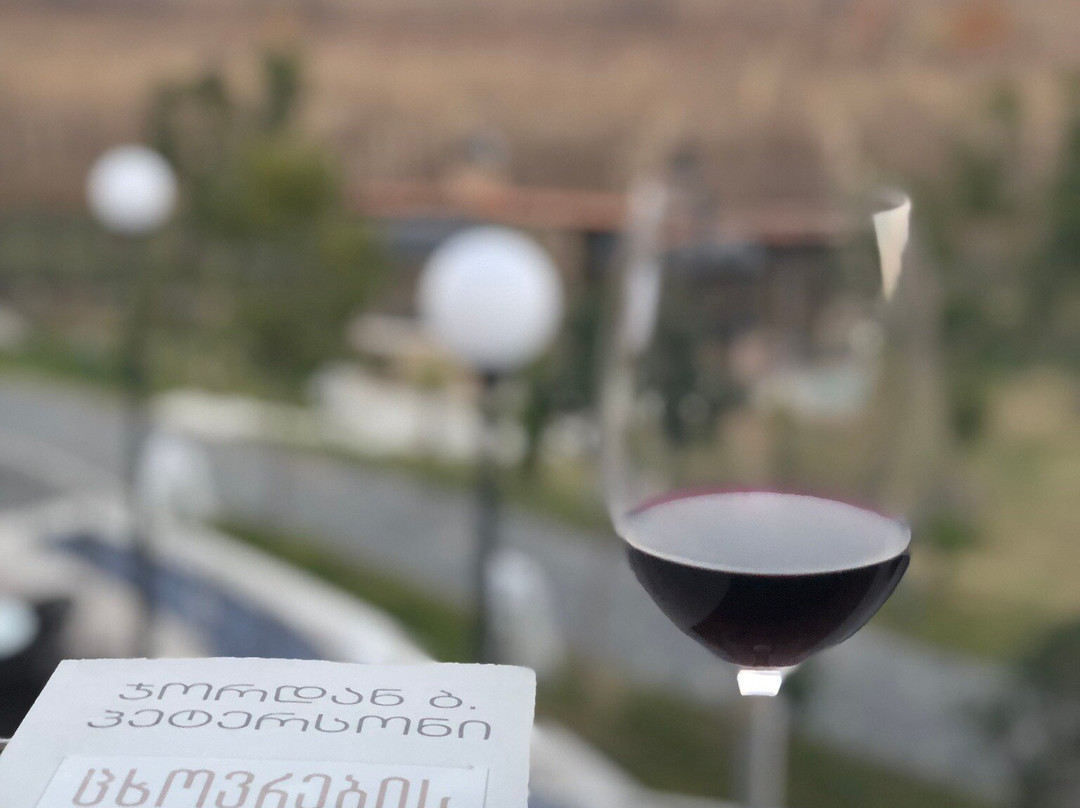 Panorama Kakheti Resort主图