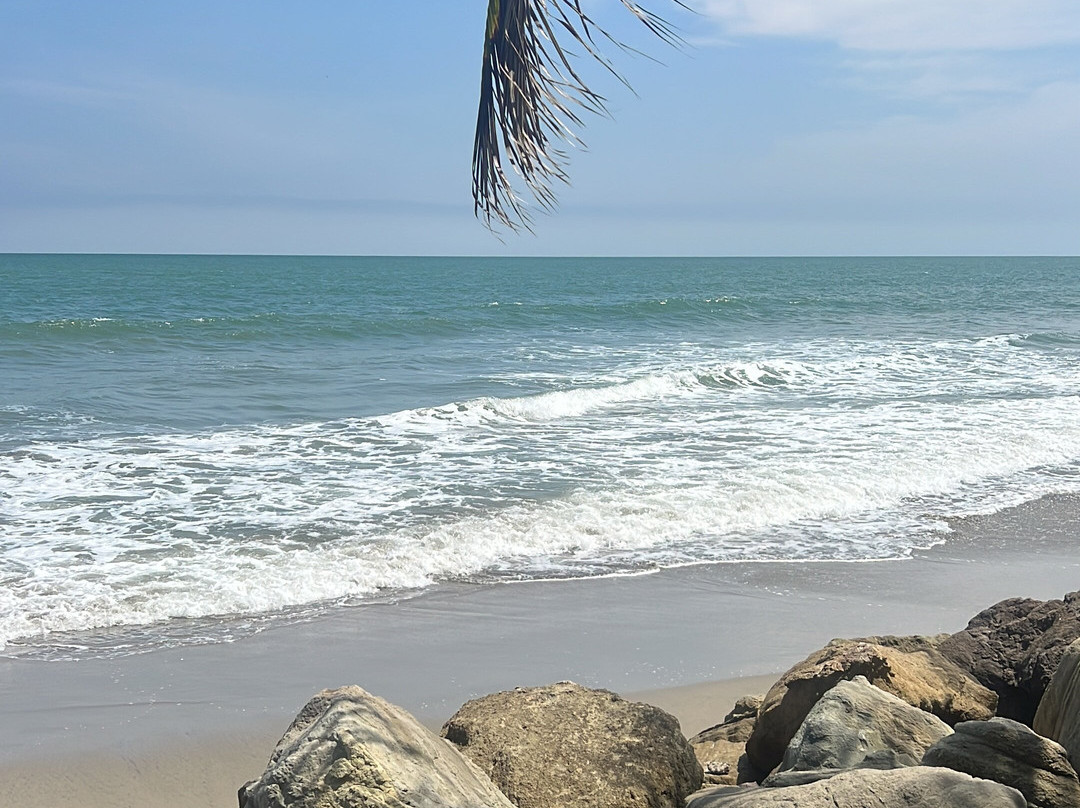 The Sea by Palmazul主图