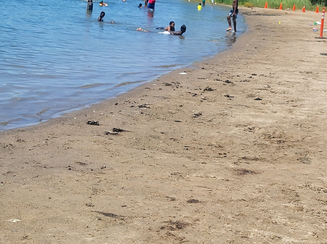 Professor's Lake Recreation Centre-布兰普敦必去景点