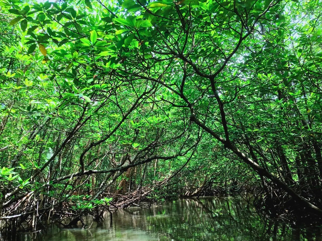 Bintan Trip Id-民丹岛必去景点