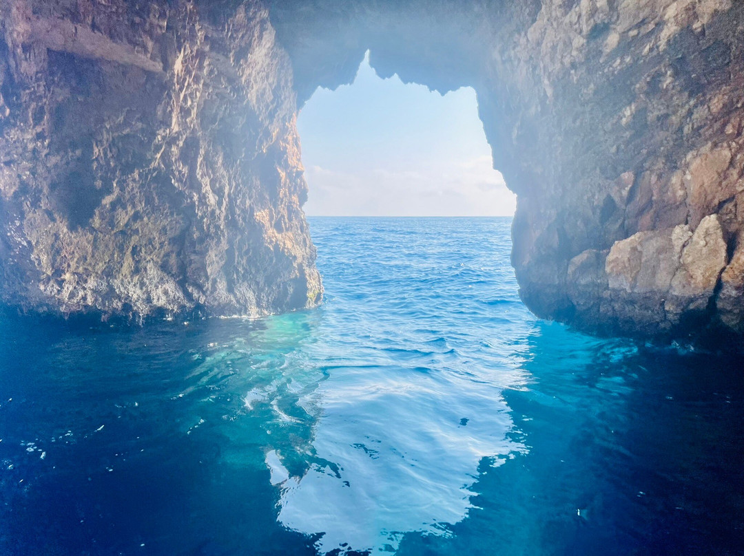 Olive Tree-扎金索斯必去景点