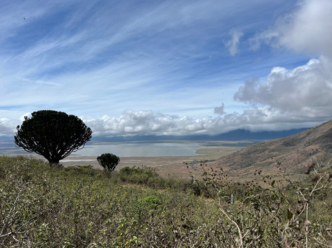 Enchanting Tanzania Safaris-阿鲁沙必去景点