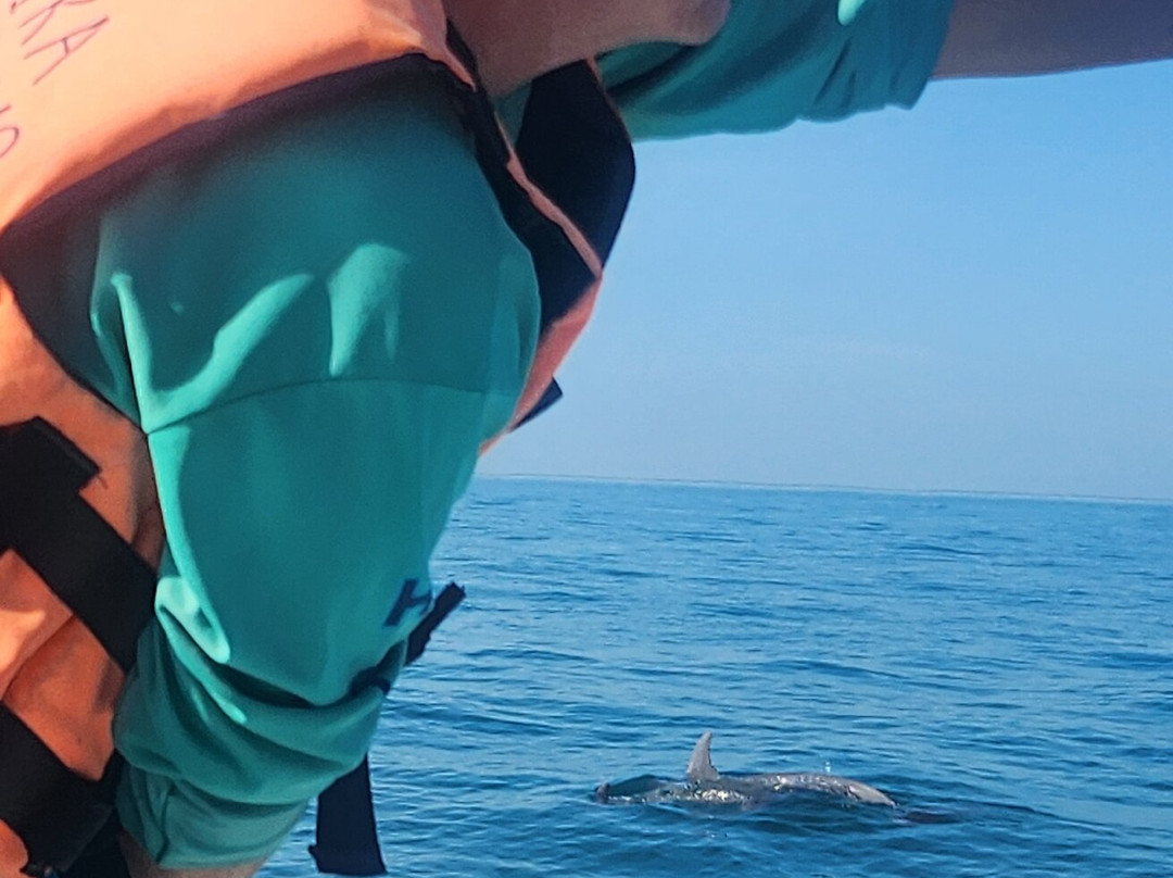 My Holbox Tours-Holbox必去景点