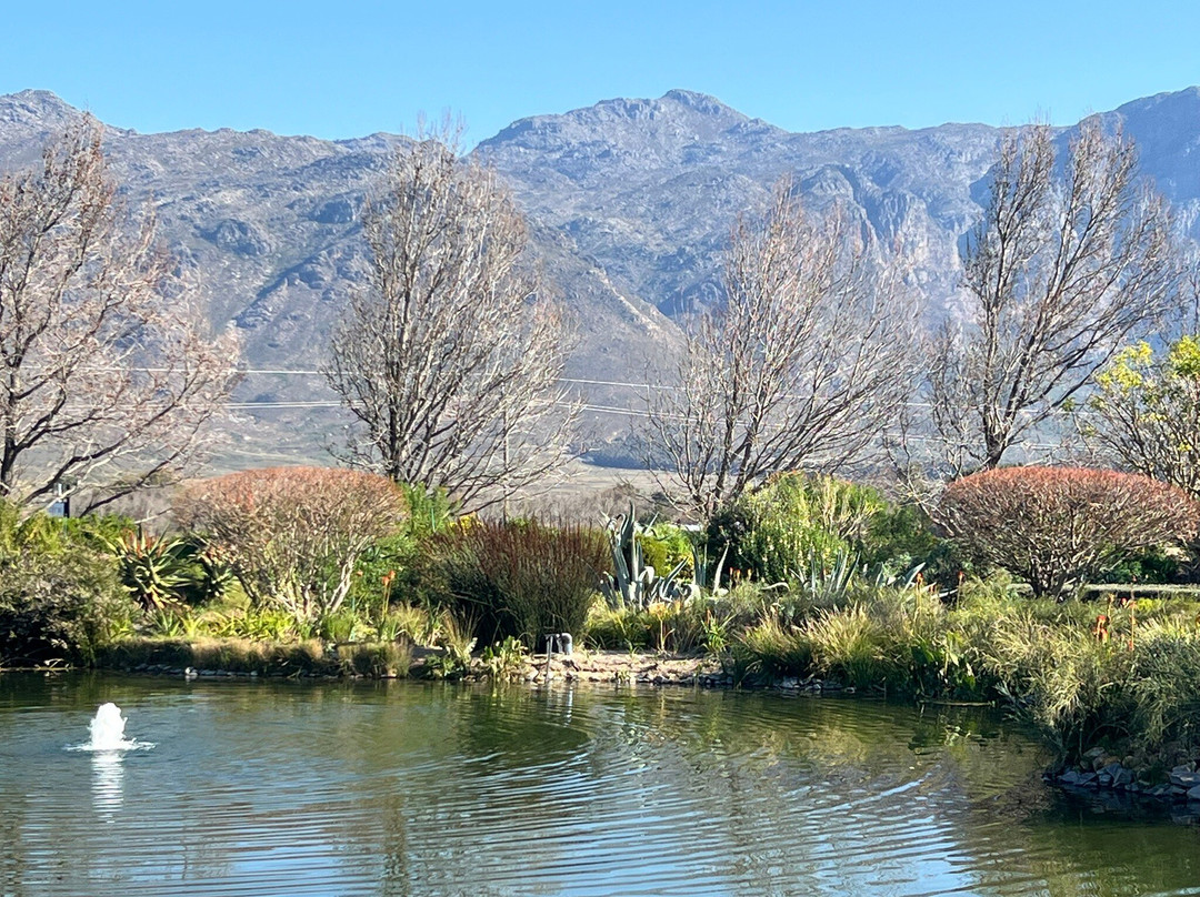 Take 2 Tours - Private Day Tours-开普敦中心区必去景点